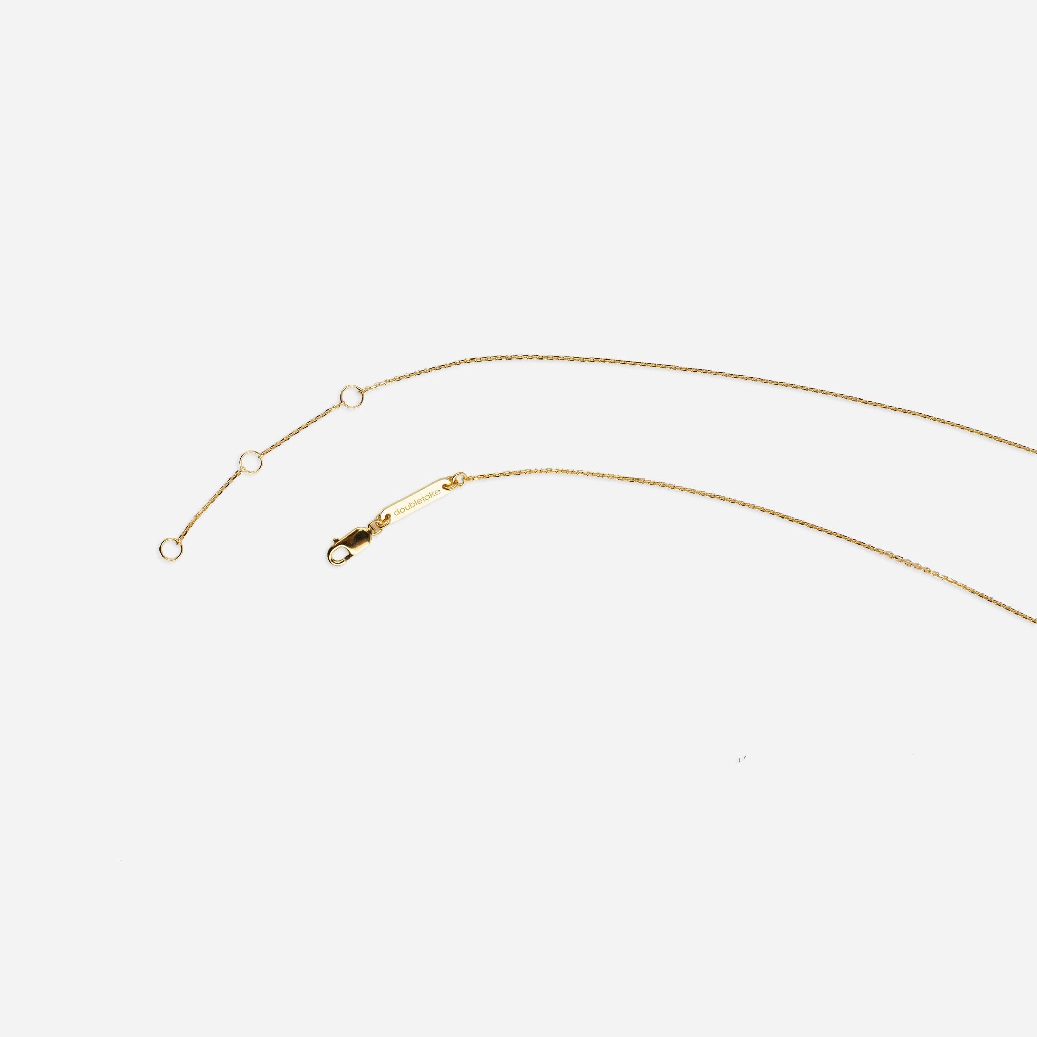 Gold necklace with lobster clasp and adjustable length.