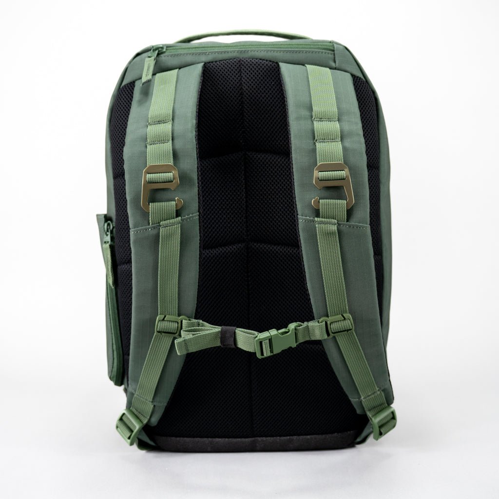 Backpack with green fabric and straps, black mesh back.