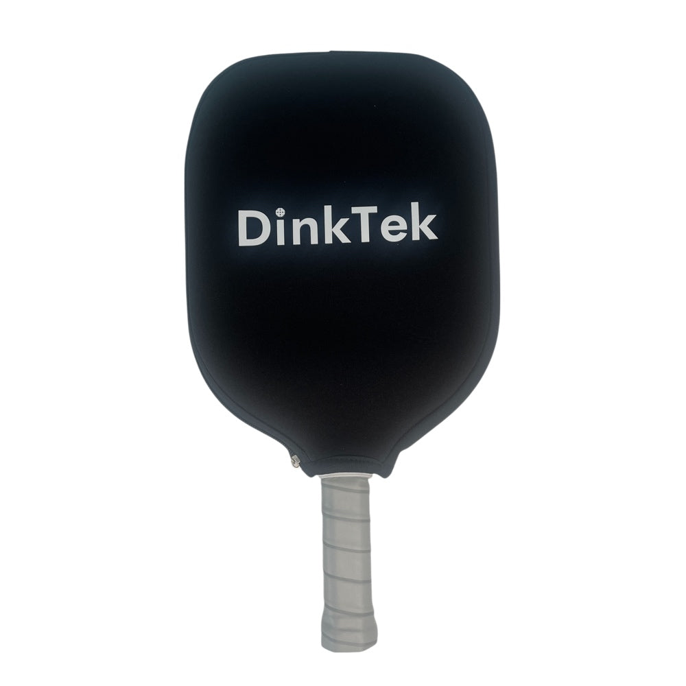 DinkPro 2.0 Paddle (Silver Strike)