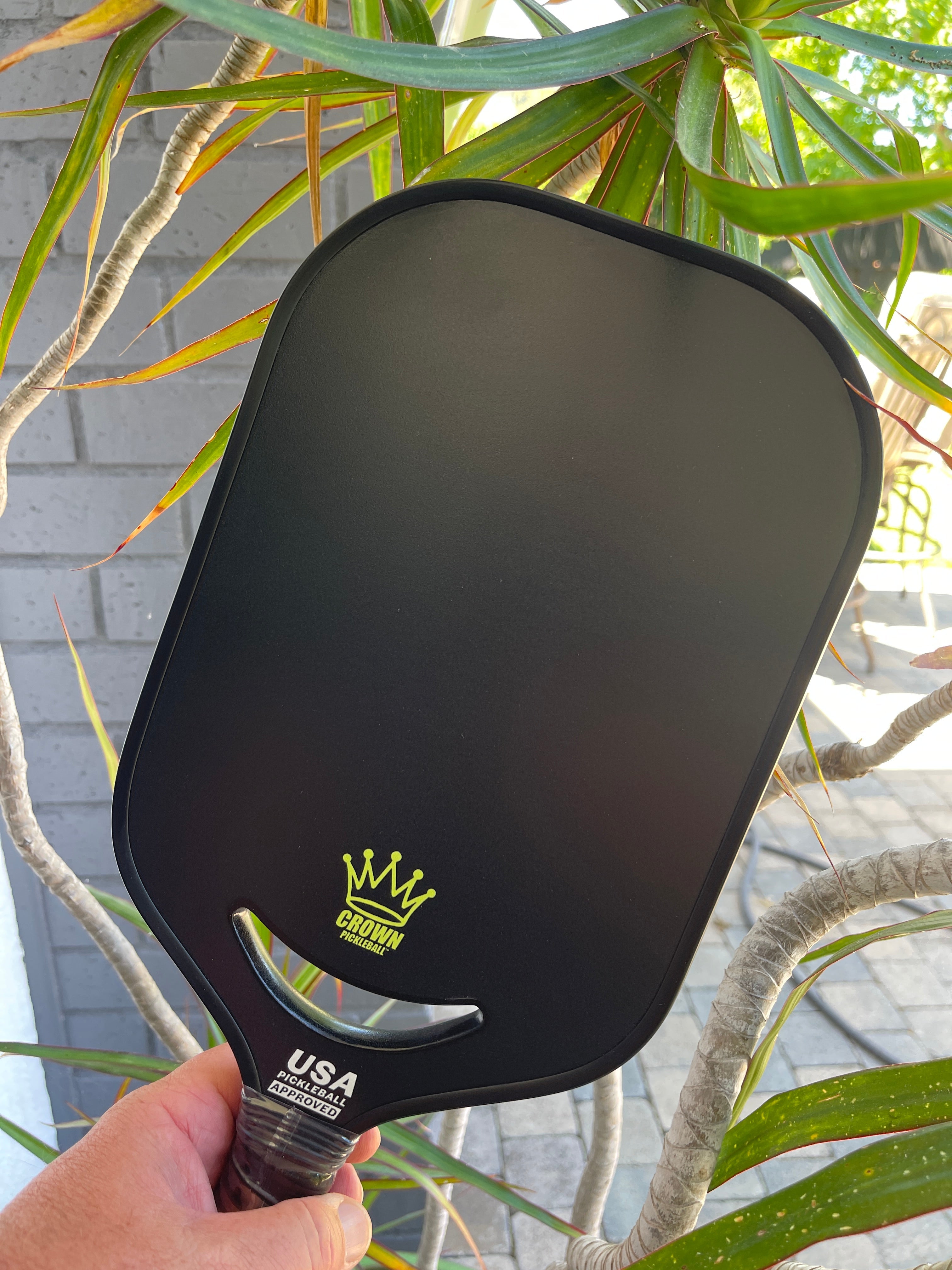 A black pickleball paddle with a yellow logo being held in front of a plant.