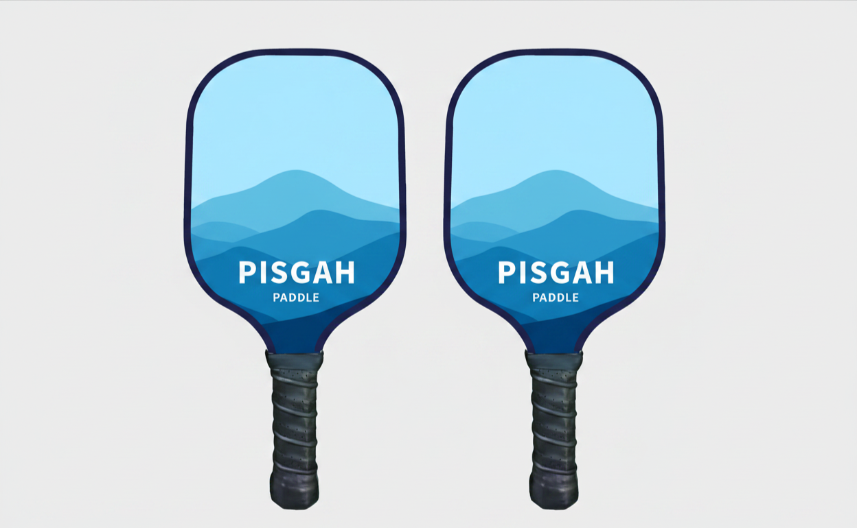 Trailblazer Grab & Go Bundle — 2 Paddles, 4 Balls + Bag